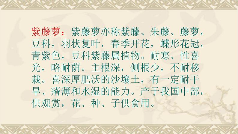 第18课《紫藤萝瀑布》课件（共39张PPT） 2021-2022学年部编版语文七年级下册第3页