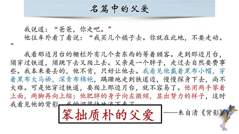 亲情类记叙文指导（父爱）课件PPT第4页