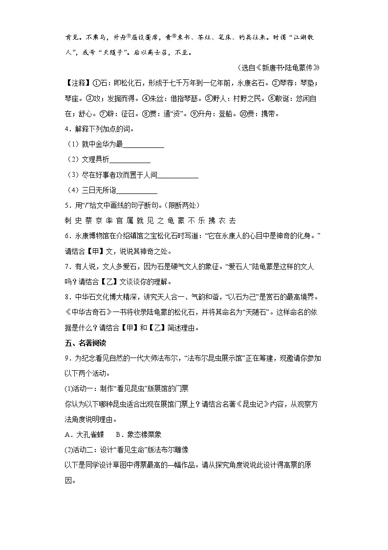 2022年浙江省丽水市初中毕业生学业考试模拟（一）语文试题(word版含答案)第3页