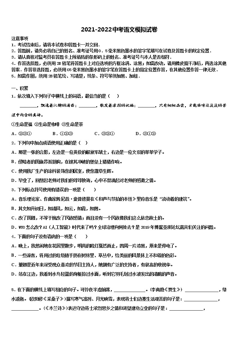 北京市龙文教育2021-2022学年中考适应性考试语文试题含解析01