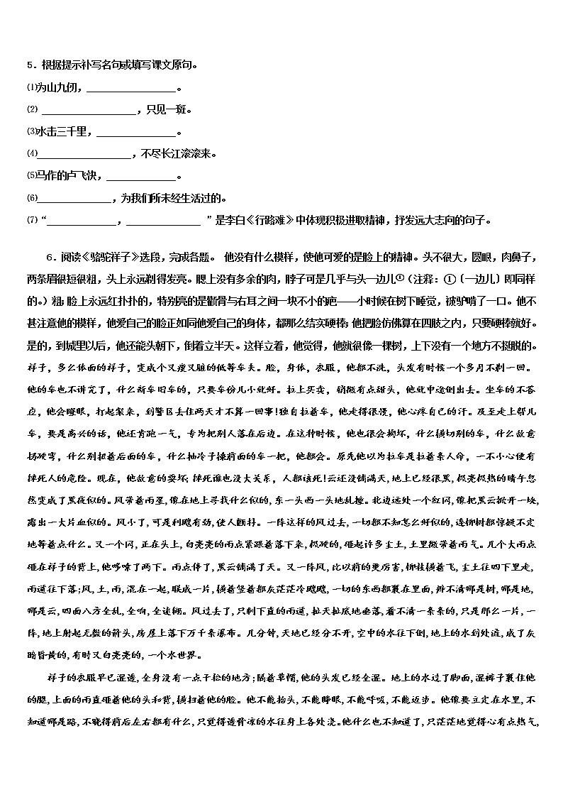 福建省永春三中学片区重点中学2021-2022学年中考冲刺卷语文试题含解析第2页