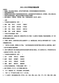 河南省周口市扶沟县重点名校2022年中考语文仿真试卷含解析