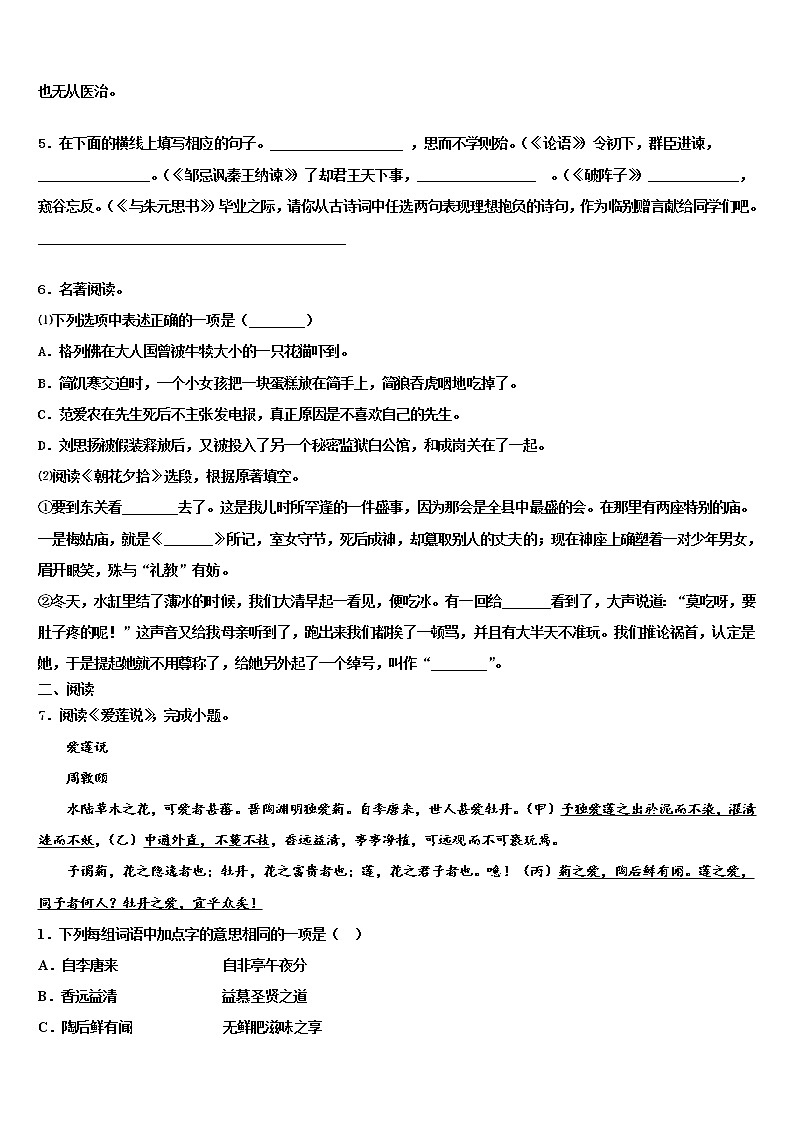 北京市西城区2021-2022学年十校联考最后语文试题含解析02