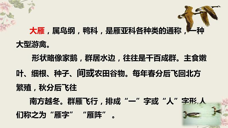 第7课《大雁归来》课件（共39页）2021-2022学年部编版语文八年级下册第3页