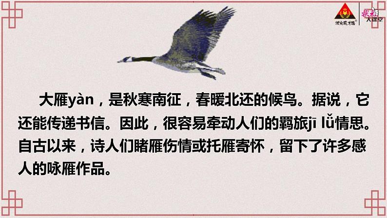 第7课《大雁归来》课件（共39页）2021-2022学年部编版语文八年级下册第4页