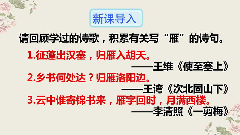 第7课《大雁归来》课件（共39页）2021-2022学年部编版语文八年级下册第5页