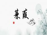 第12课《蒹葭 》课件（19张PPT） 2021-2022学年部编版语文八年级下册