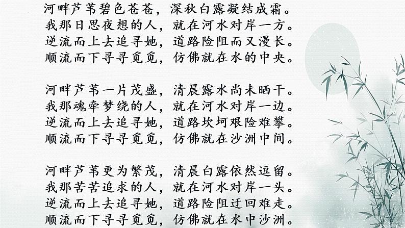 第12课《蒹葭 》课件（19张PPT） 2021-2022学年部编版语文八年级下册05