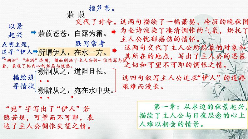 第12课《蒹葭 》课件（19张PPT） 2021-2022学年部编版语文八年级下册07