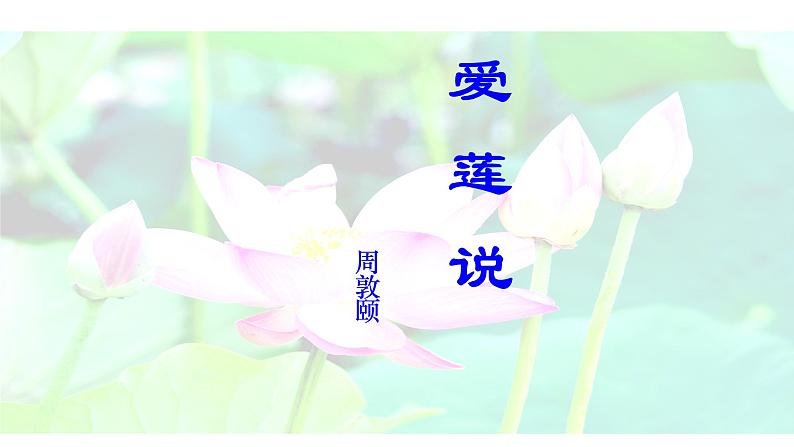 部编版七年级语文下册----17 短文两篇·爱莲说课件第2页