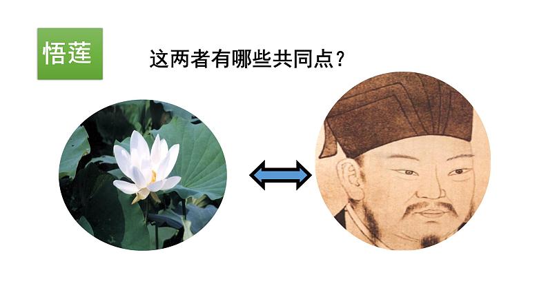 部编版七年级语文下册----17 短文两篇·爱莲说课件第8页
