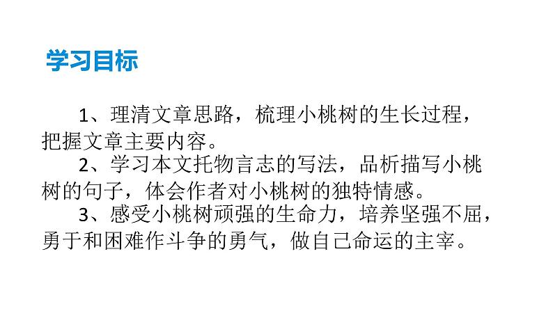 部编版七年级语文下册----19  《一棵小桃树》  课件03