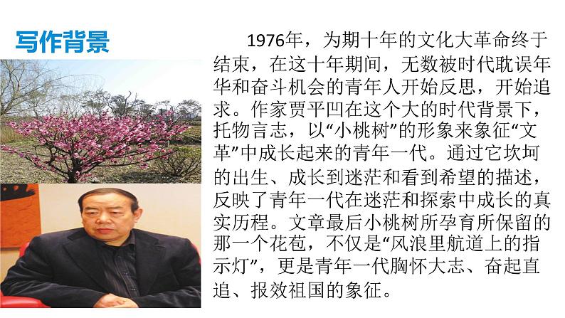 部编版七年级语文下册----19  《一棵小桃树》  课件05