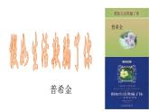 部编版七年级语文下册----20外国诗二首《假如生活欺骗了你》课件＋素材）