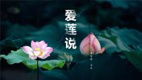 人教部编版七年级下册爱莲说授课ppt课件