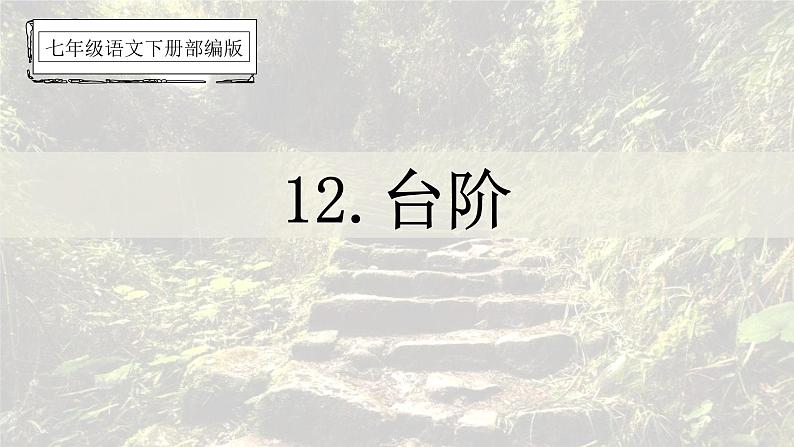 部编版七年级语文下册课件----台阶01
