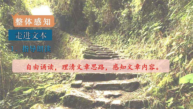 部编版七年级语文下册课件----台阶07