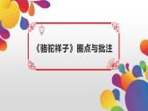 部编版七年级语文下册课件----骆驼祥子