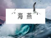 第4课《海燕》课件（共30张PPT）2021—2022学年部编版语文九年级下册