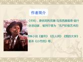 第4课《海燕 》课件（33张PPT） 2021-2022学年部编版语文九年级下册