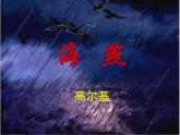 第4课《海燕》课件（共21页）2021-2022学年部编版语文九年级下册