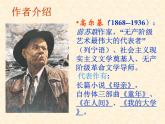 第4课《海燕》课件（共21页）2021-2022学年部编版语文九年级下册