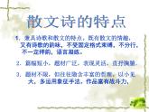 第4课《海燕》课件（共21页）2021-2022学年部编版语文九年级下册