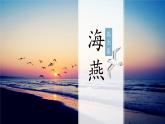 第4课《海燕》课件（共28张ppt）2021-2022学年部编版语文九年级下册