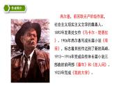 第4课《海燕》课件（共28张ppt）2021-2022学年部编版语文九年级下册