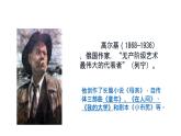 第4课《海燕》课件(共23页）2021-2022学年部编版语文九年级下册