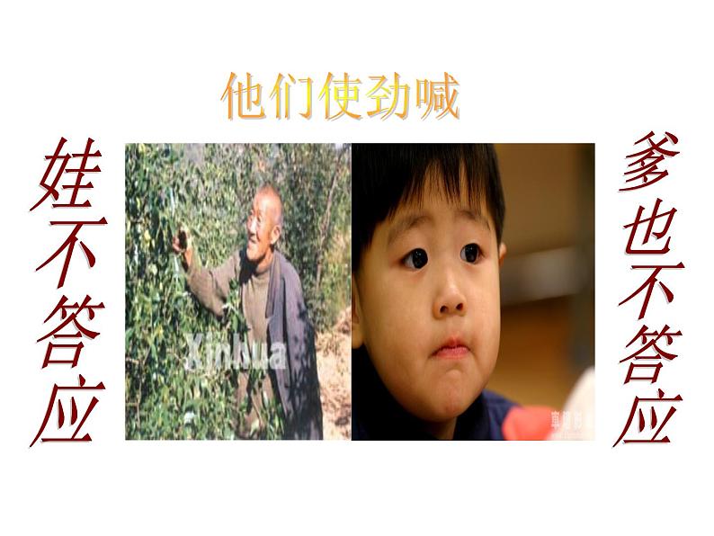 第19课《枣儿》课件（共23张PPT）2021—2022学年部编版语文九年级下册06
