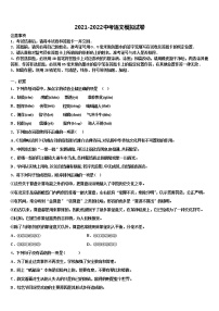 2022年广东省云浮市云安区中考语文全真模拟试题含解析