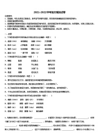 2022年广东省阳江市阳东区星重校中考适应性考试语文试题含解析