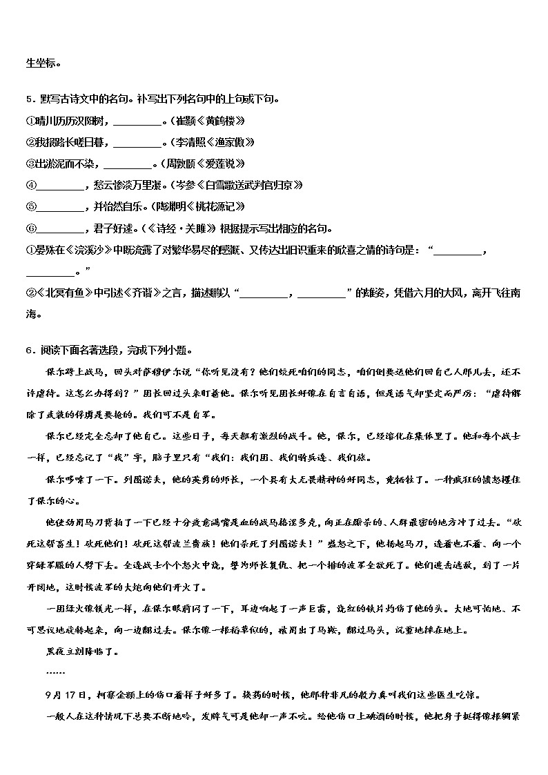 2022年山东省安丘市景芝中学中考语文模拟试题含解析第2页