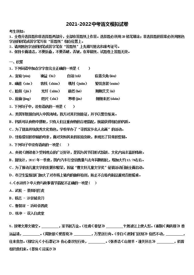 2022年宁夏银川外国语实验校中考语文最后冲刺模拟试卷含解析01