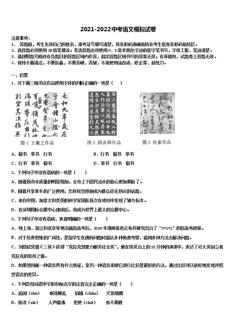 2022年江苏省徐州市（B卷）重点中学中考语文仿真试卷含解析01
