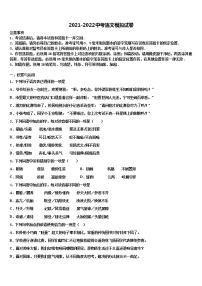 2022年山东省济宁市市中区中考语文押题试卷含解析