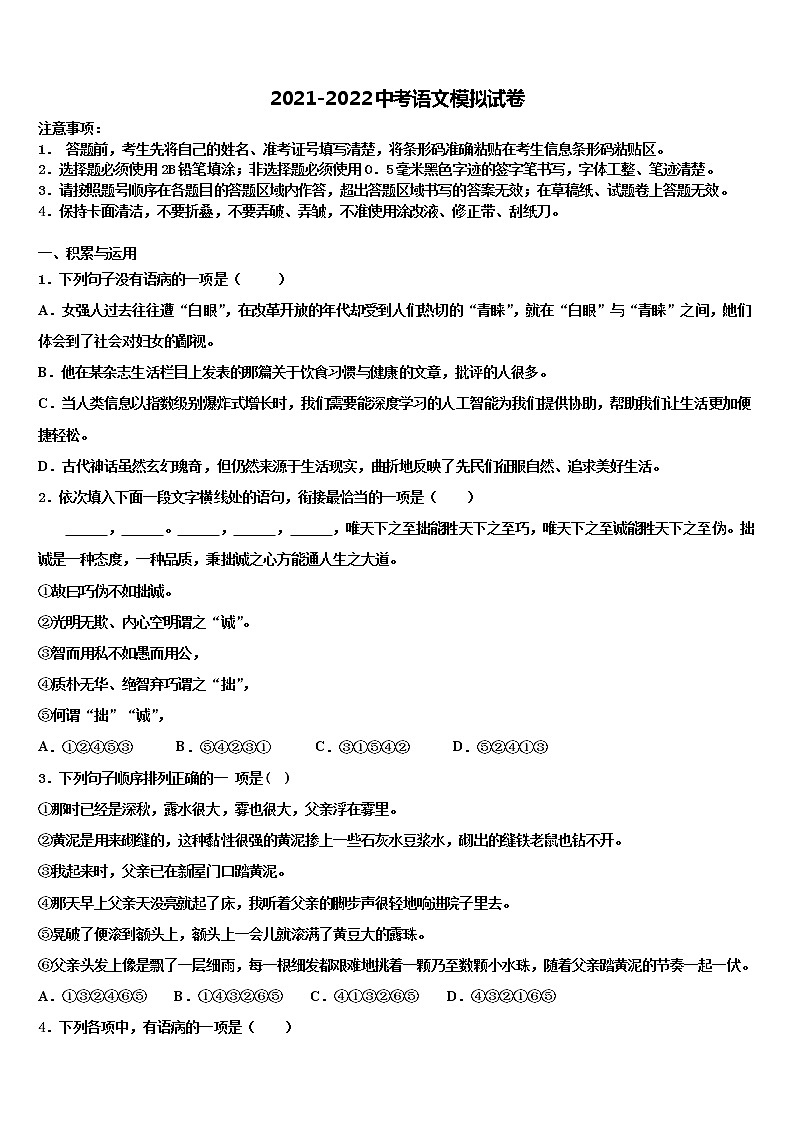 2022年新疆阿克苏市沙雅县中考语文最后冲刺浓缩精华卷含解析01