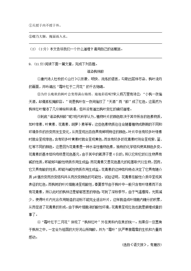 初一期中测试2017第3页