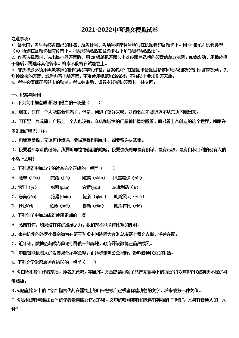 2022年乐山市重点中学中考语文五模试卷含解析01