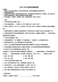 2022年广东湛江二中学港城中学初中语文毕业考试模拟冲刺卷含解析