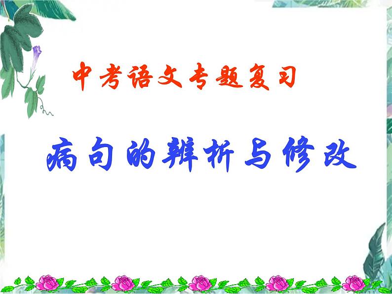 2022年中考语文二轮专题复习：病句的辨析与修改（共25张PPT）01