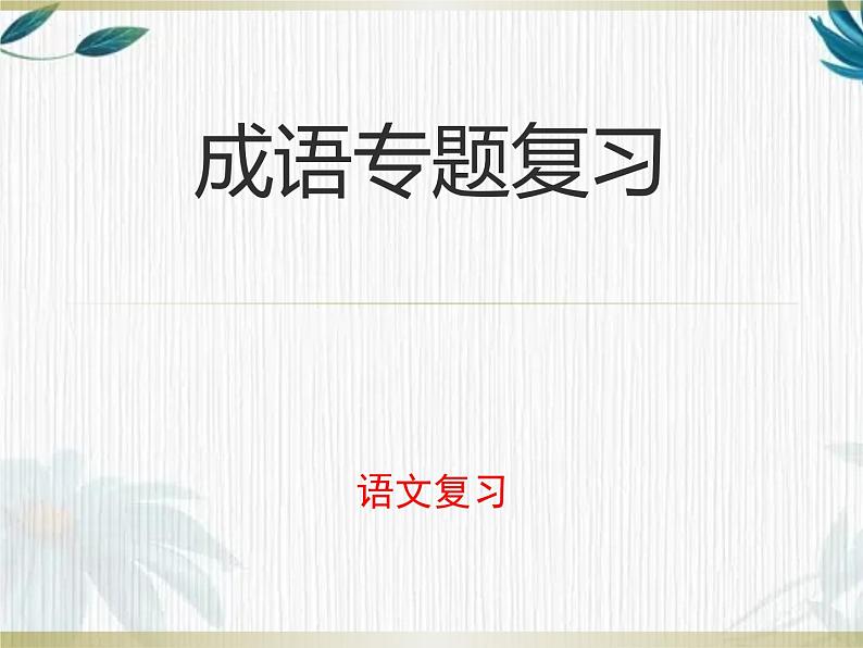 2022年中考语文二轮专题复习：成语专题复习（共25张PPT）01