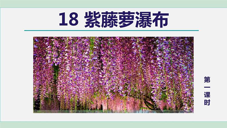 部编版七年级语文下册课件---18. 紫藤萝瀑布第2页