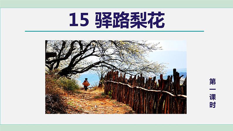 部编版七年级语文下册课件---15. 驿路梨花第5页