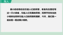 初中语文人教部编版七年级下册19* 一棵小桃树背景图ppt课件