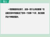 部编版七年级语文下册课件---24. 带上她的眼睛