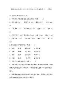 2022年黑龙江哈尔滨市中考模拟卷（一）语文试题(word版含答案)