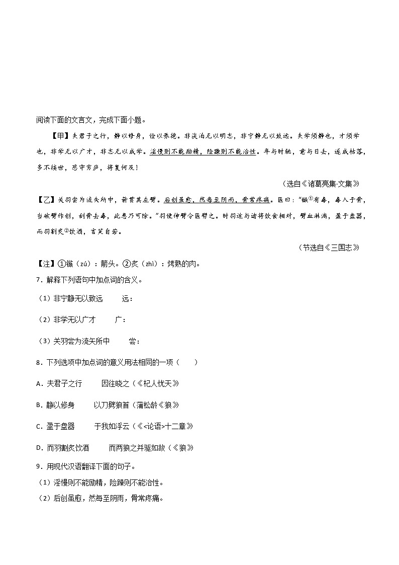 专题06：文言文阅读（一）-【回归课本】2022年中考语文教材基础知识专项训练03