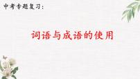 2022年中考语文一轮专题复习：词语与成语的使用（共17张PPT)